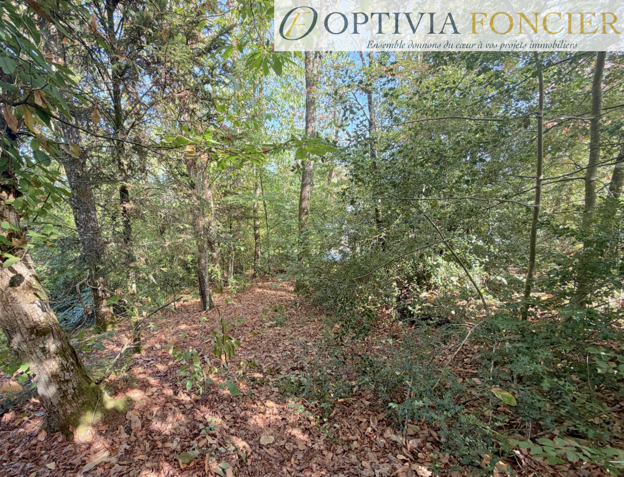 Terrain constructible d'environ 900 m2 sur Pont-Réan hors zone inondable