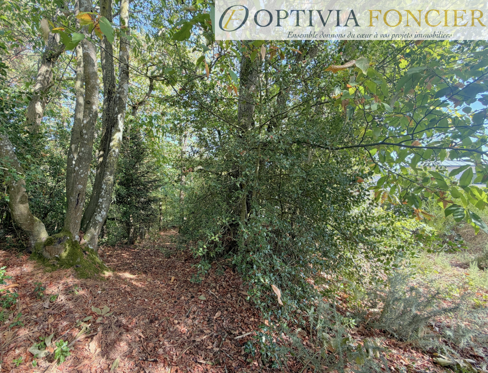 Terrain constructible d'environ 900 m2 sur Pont-Réan hors zone inondable